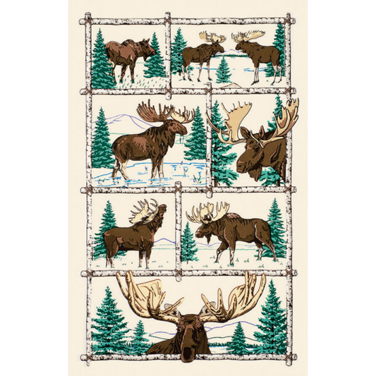 Paine's Kitchen Tea Towel - Moose & Birch Tree