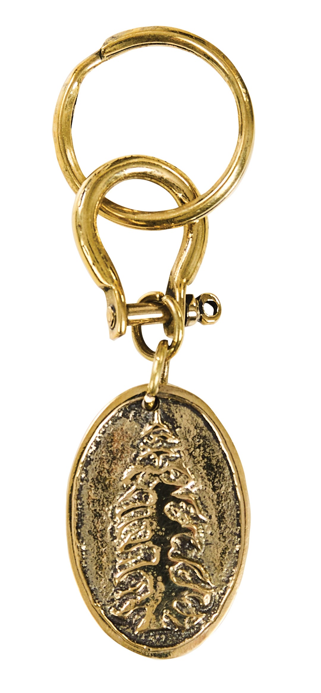 A keychain featuring an oval pendant with an embossed Fir tree design, shown on a plain white background.